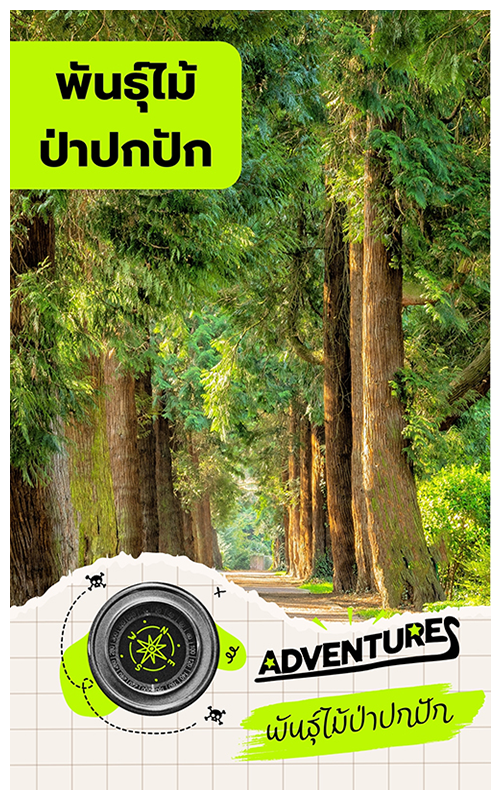 ป่าปกปัก