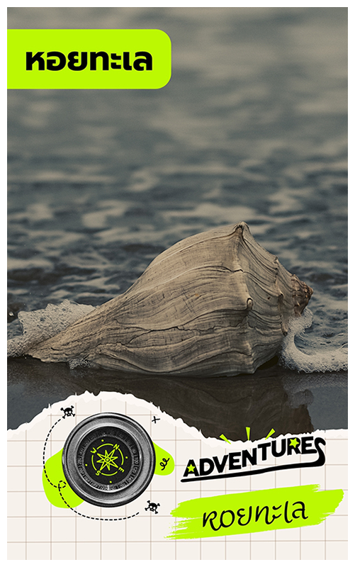 หอยทะเล